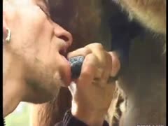 Guy knows how to blowjob a horse